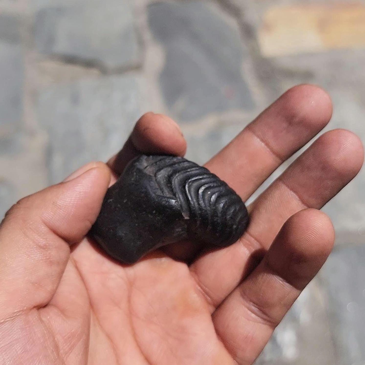 Lord Ganesh Shaligram