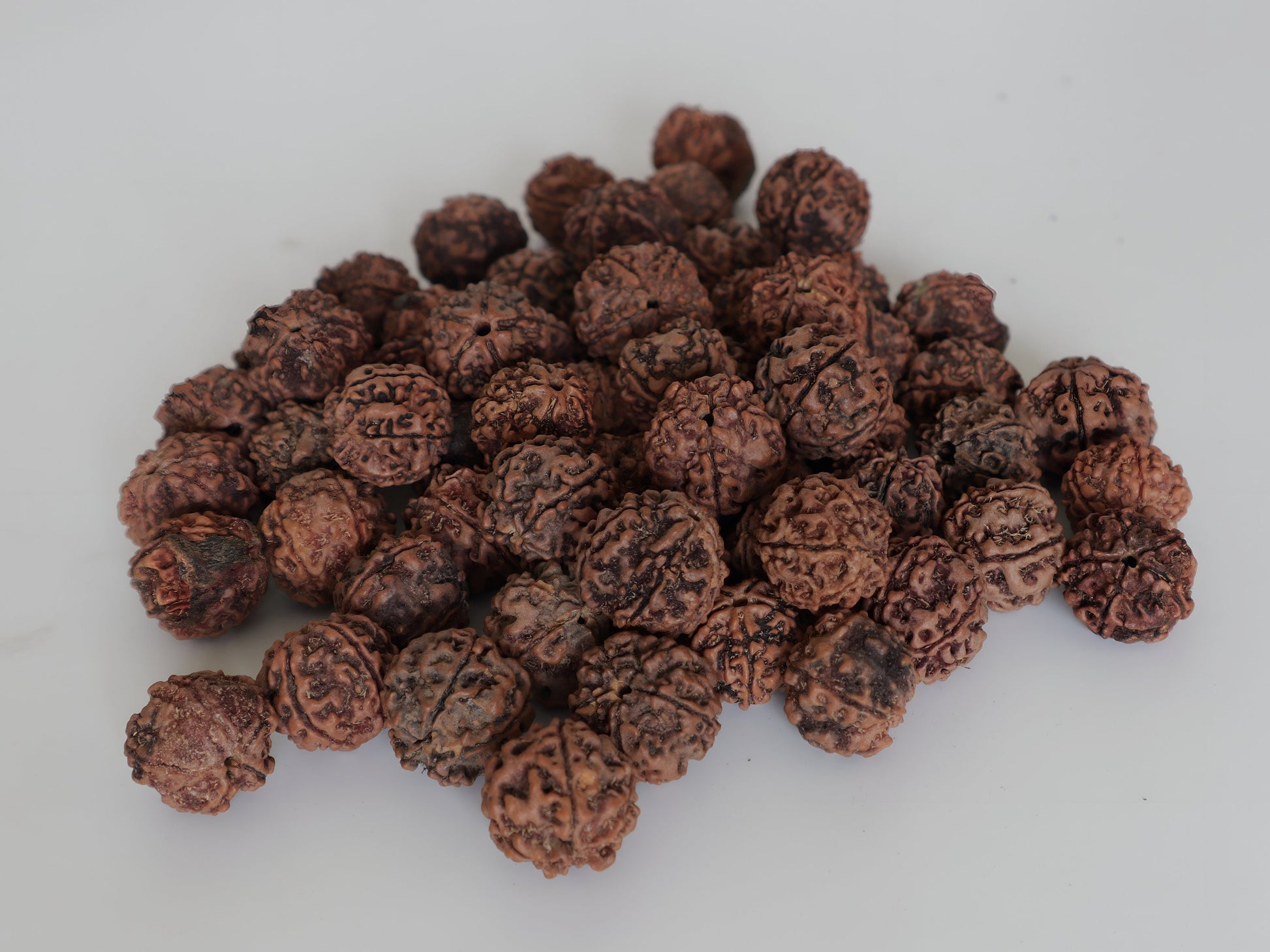 Bulk Natural Rudraksha beads | 100% Real Nepali Seed, 5 face, 16 to 20mm