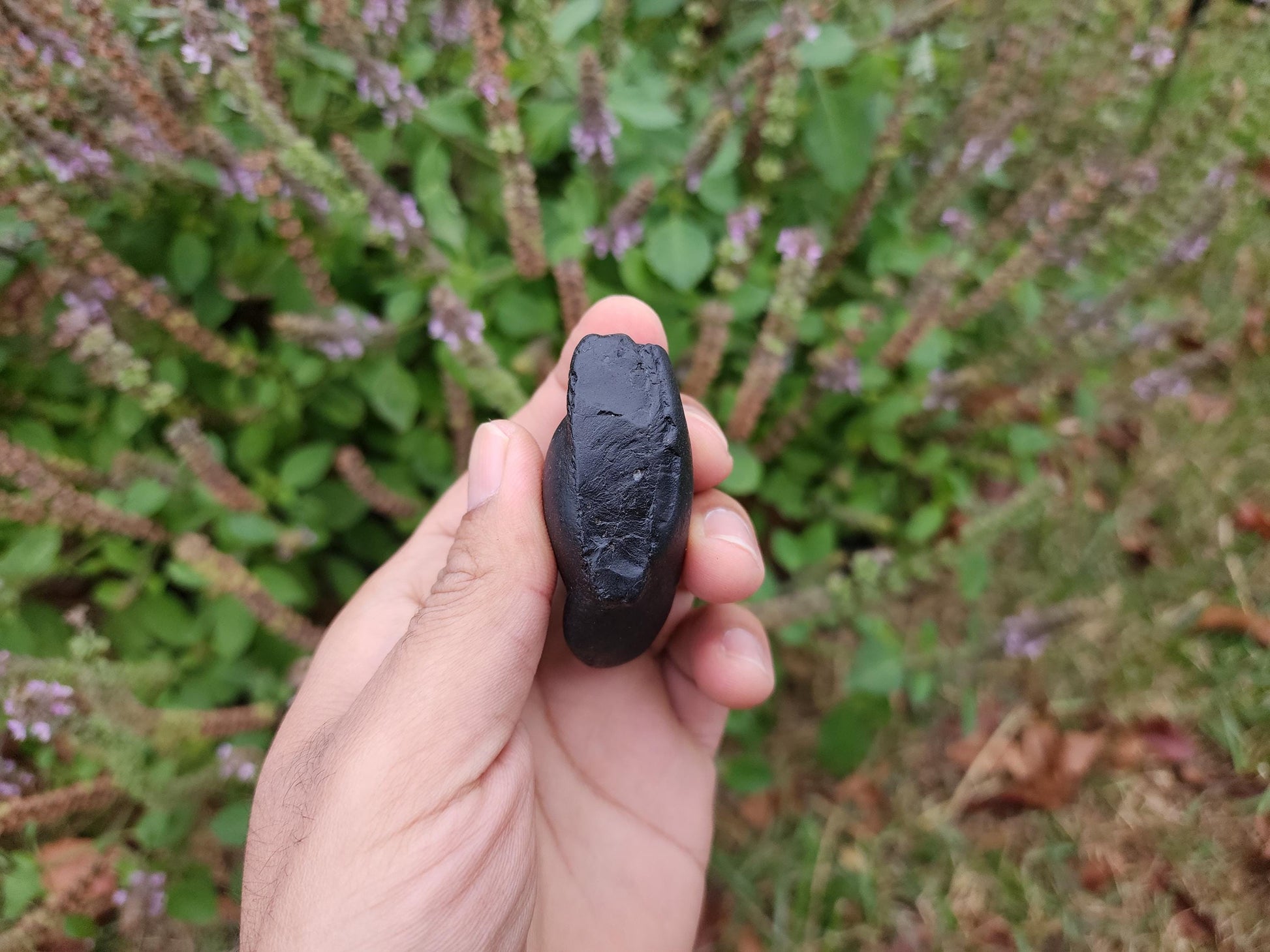 Half Moon Shaligram For Divine Goddess and Feminine Energy