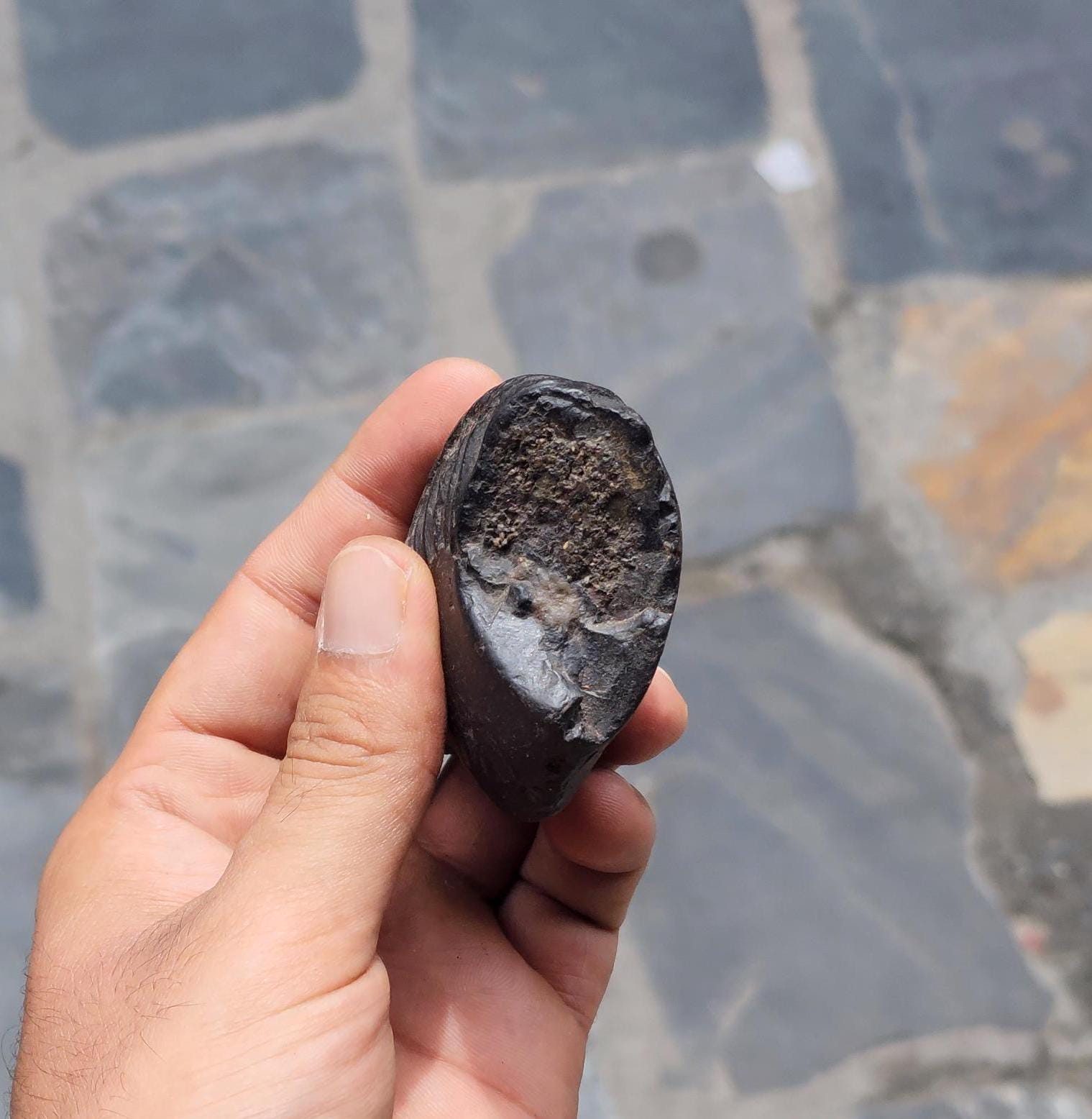 Double Chakra Shaligram