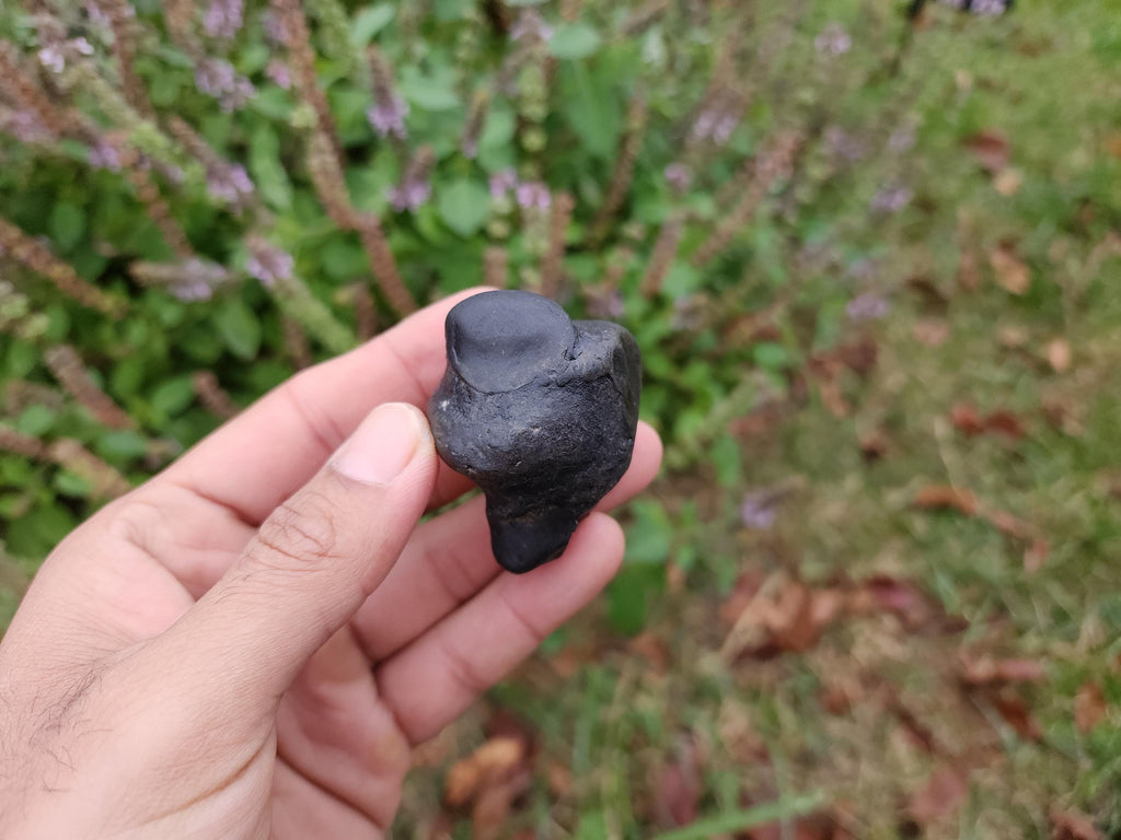 Parsuram Shaligram