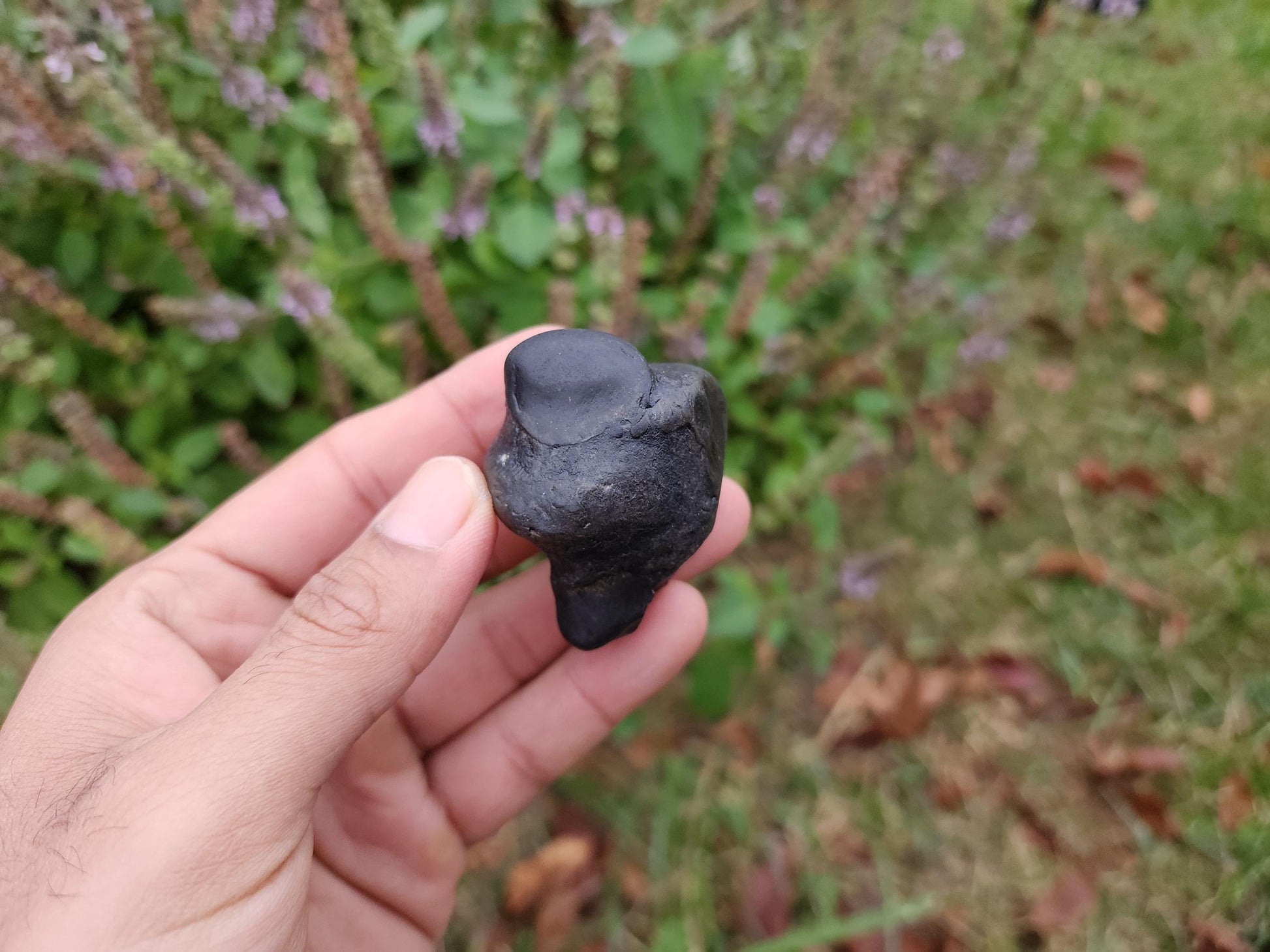 Parsuram Shaligram