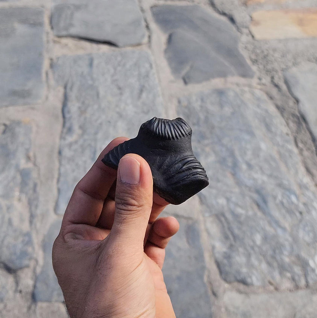 Nirakar Anant Rupa Shaligram