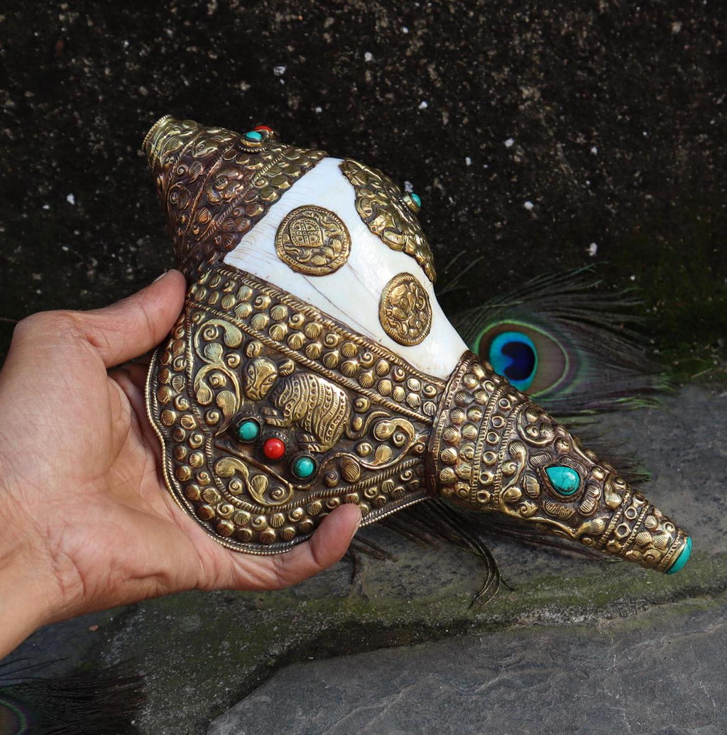 Tibetan Blowing Shankha Conch Shell