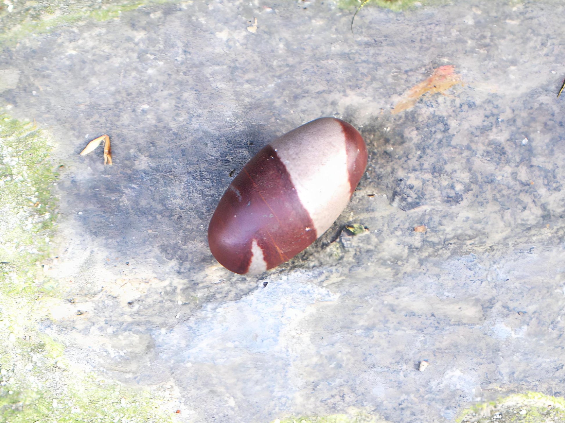 Narvada Shiva Linga