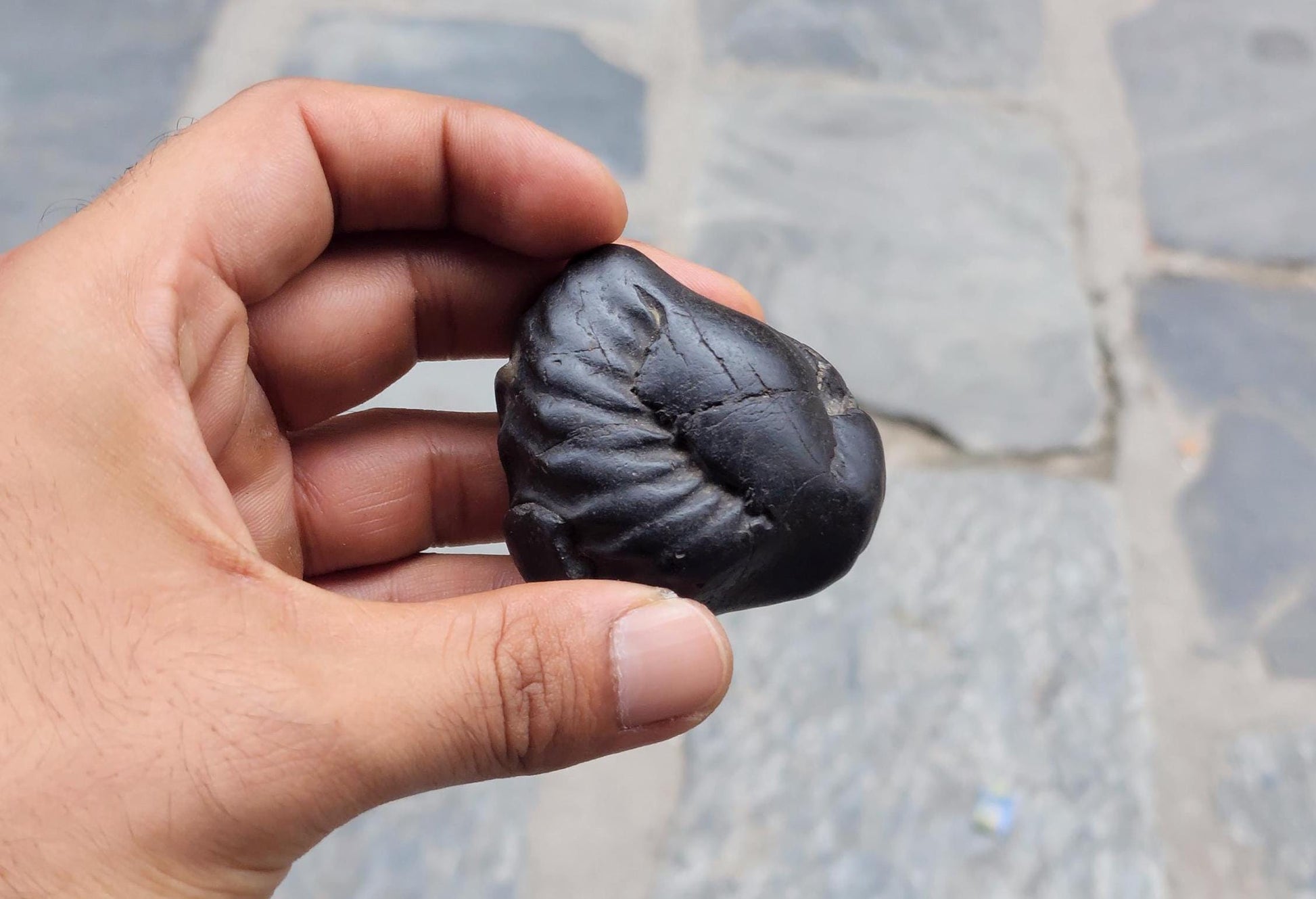 Narasimha Shaligram The Fourth Avatar Of Hindu God Vishnu