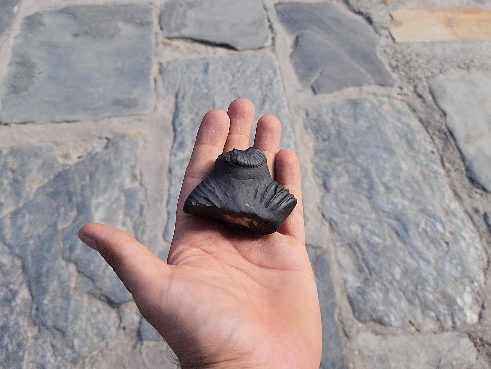 Nirakar Anant Rupa Shaligram