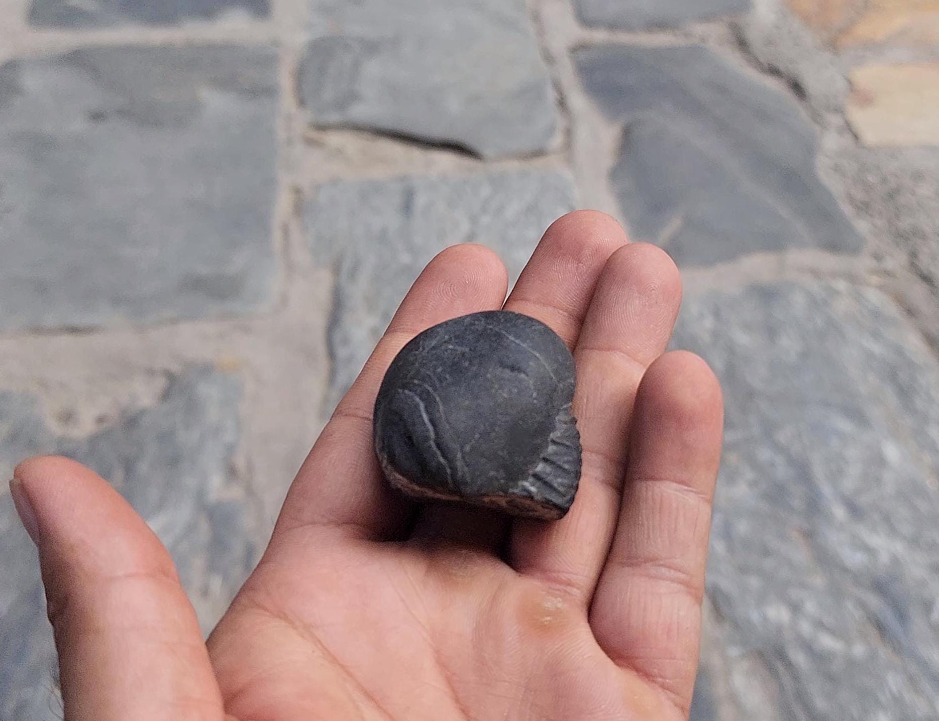 Pisces Lucky Stone – Rare Fish-Shaped Sacred Shaligrama For Intuition And Spiritual Flow