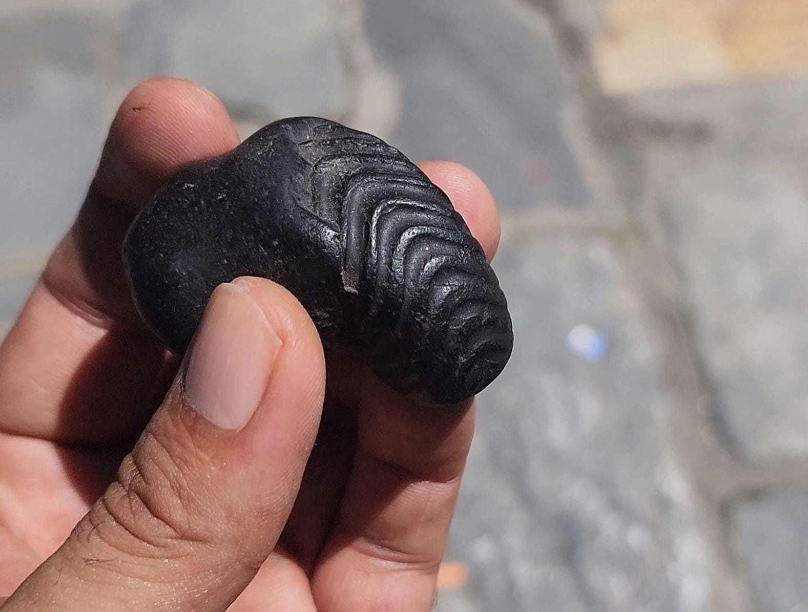 Lord Ganesh Shaligram