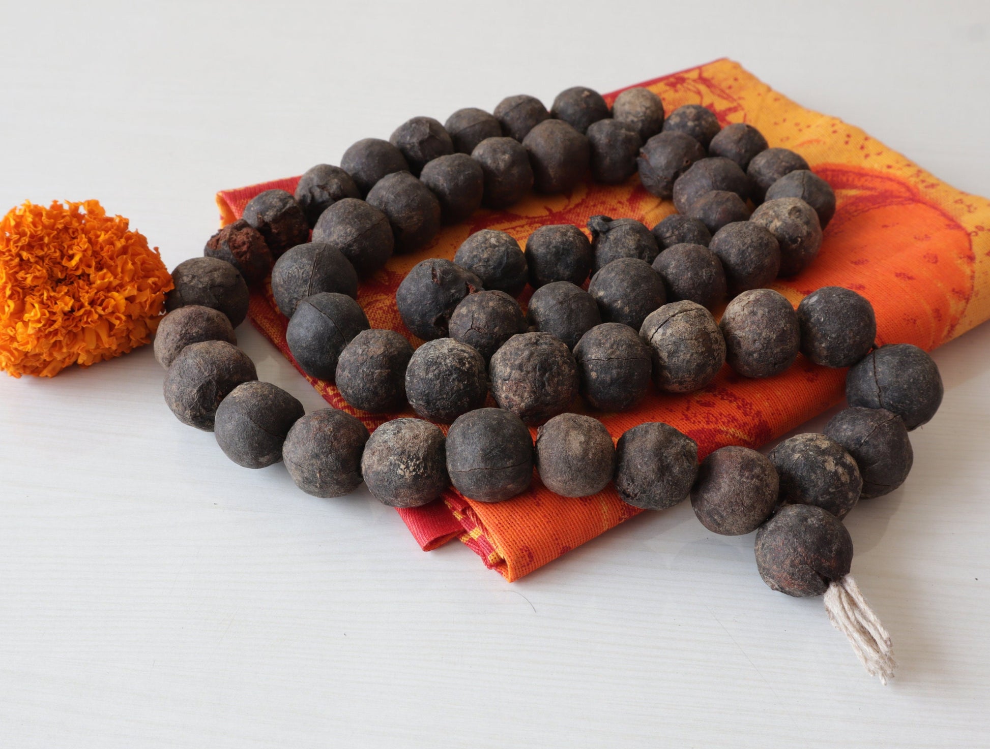 Natural Rudraksha Seed With Shell