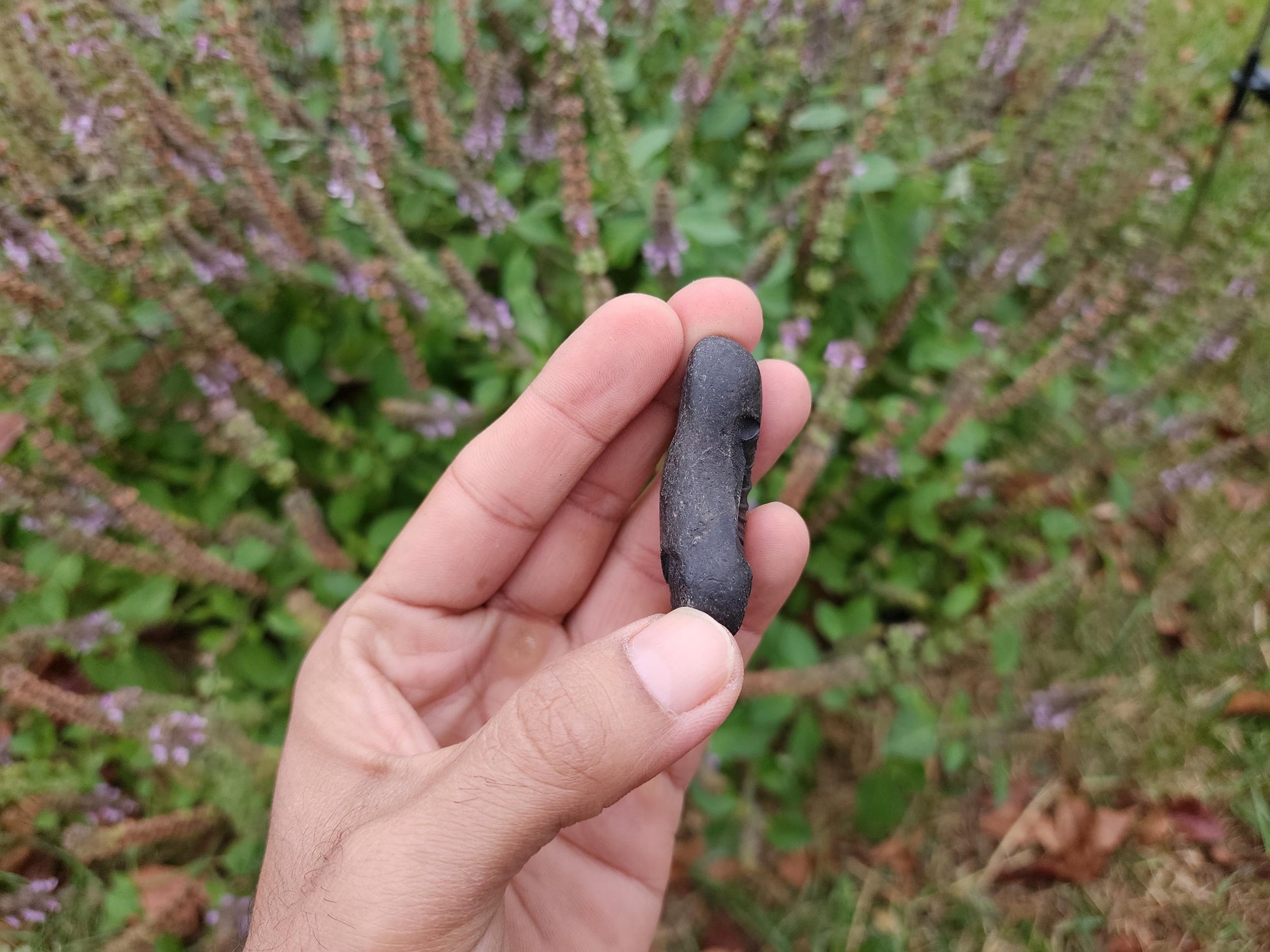 Half Moon Sacred Shaligram Stone