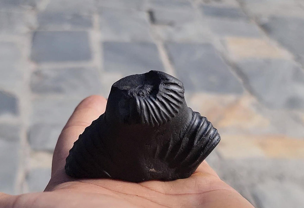 Nirakar Anant Rupa Shaligram