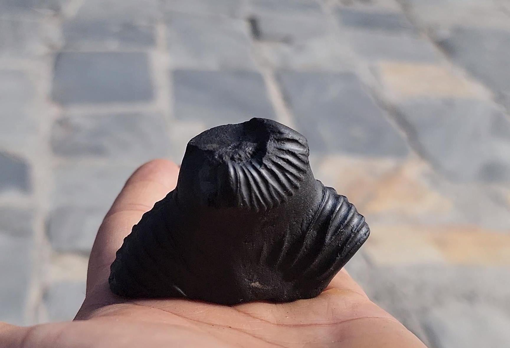 Nirakar Anant Rupa Shaligram