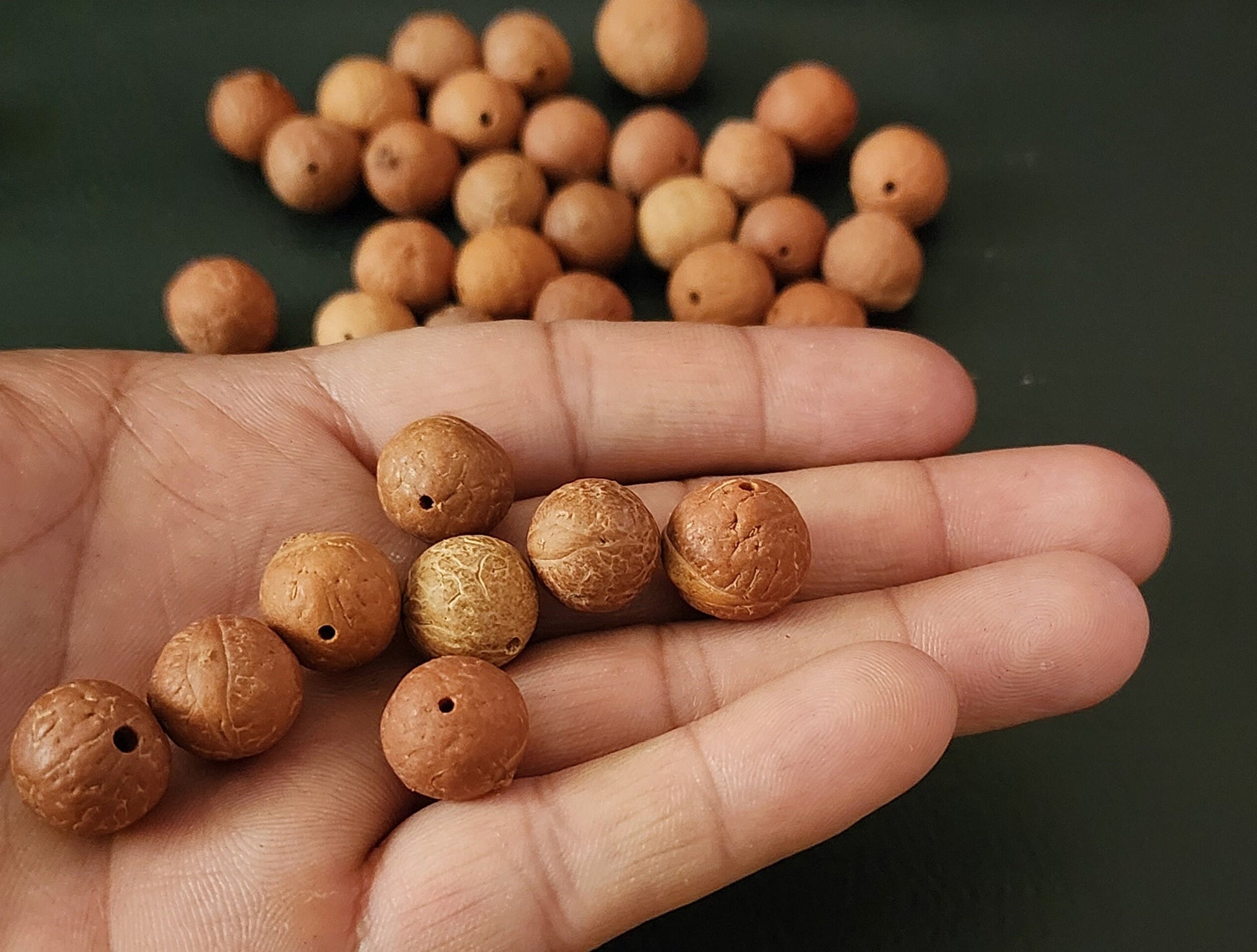 Phoenix Eye Real Nepali Bodhi Seed Beads | Natural Buddhachitta Buddha Prayer Bead For Yoga & Mindfulness, Prayer Beads