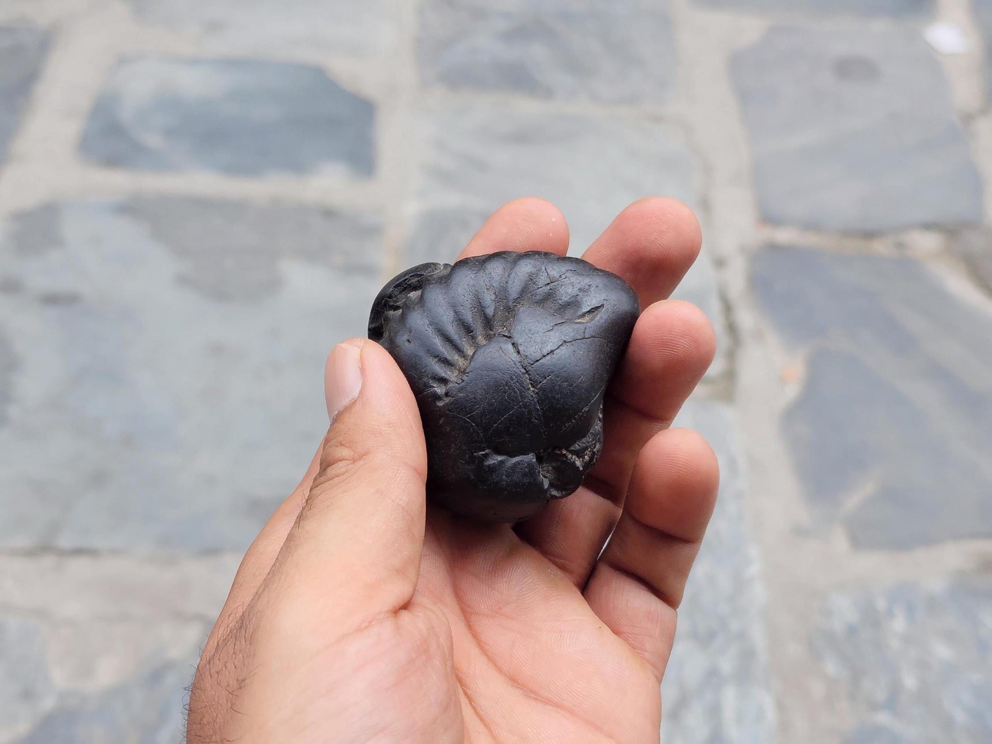 Narasimha Shaligram The Fourth Avatar Of Hindu God Vishnu