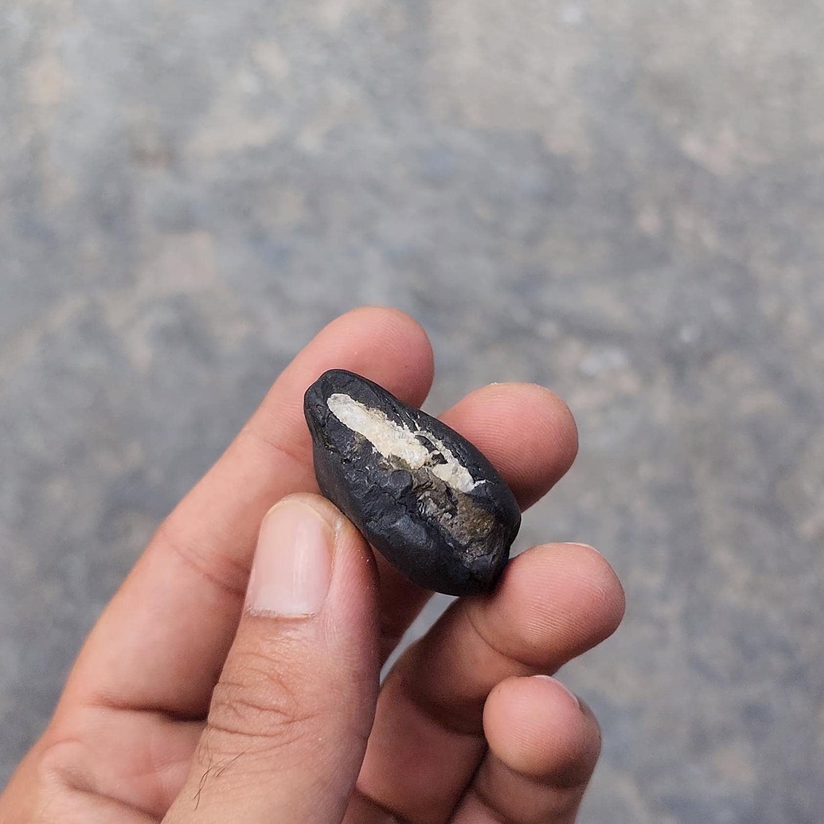 August Birthstone Shaligram – Sacred Power Stone For The Brave And Fearless August Born