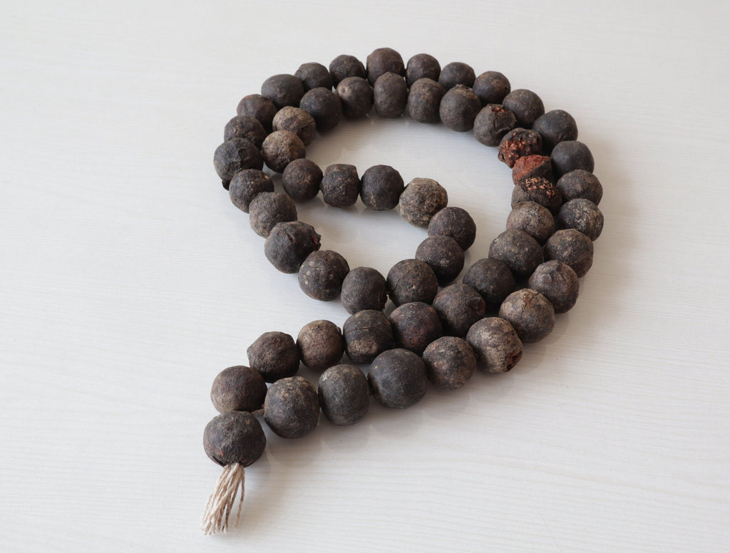 Natural Rudraksha Seed With Shell