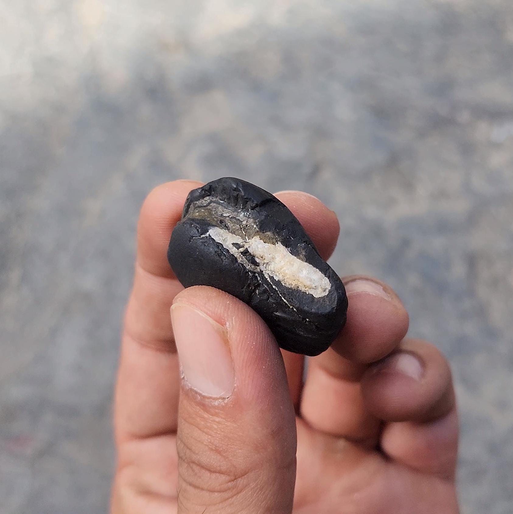 August Birthstone Shaligram – Sacred Power Stone For The Brave And Fearless August Born