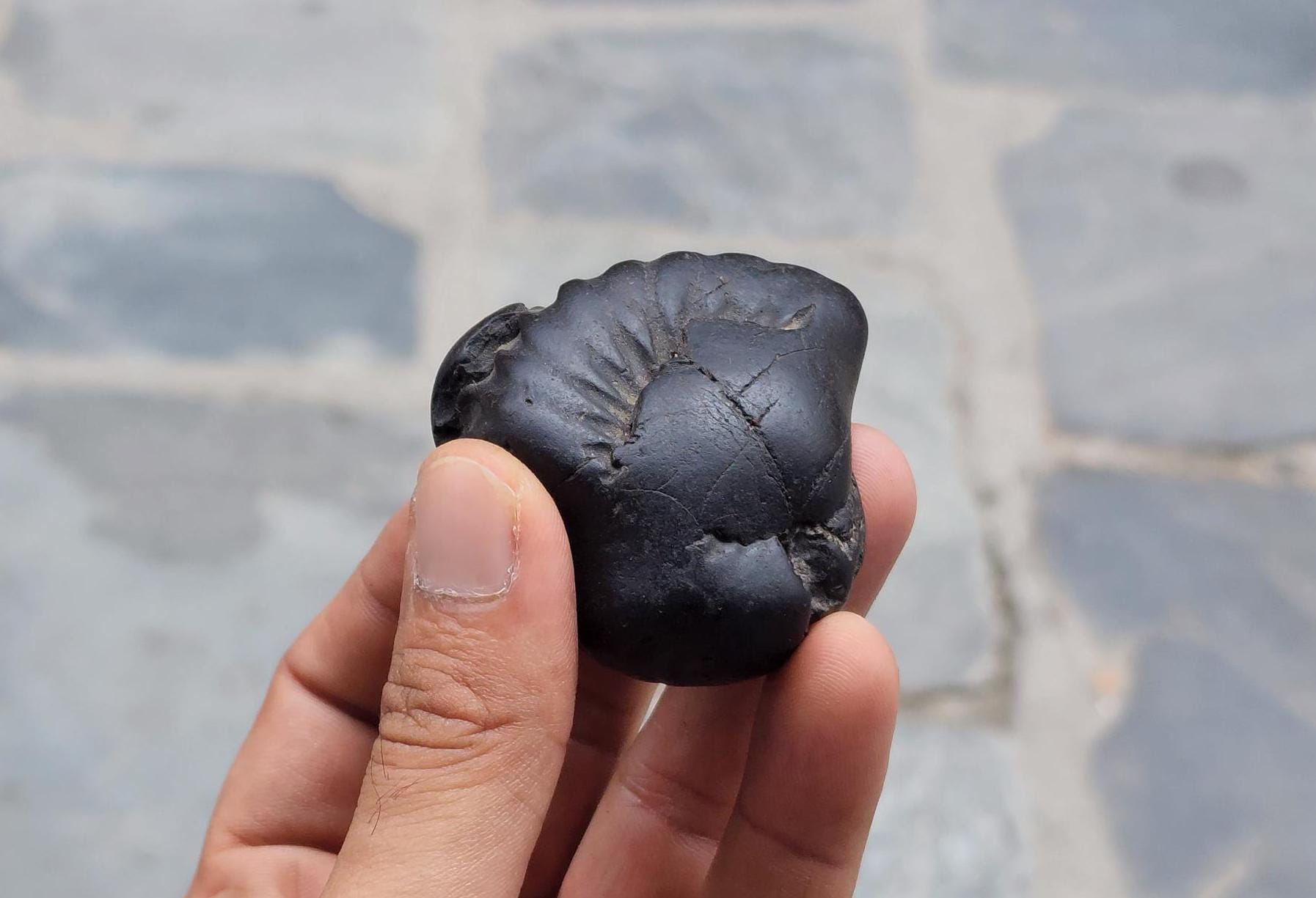Narasimha Shaligram The Fourth Avatar Of Hindu God Vishnu