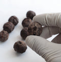Bulk Natural Rudraksha Seeds With Shell: Nepalese Rudraksha Straight From The Tree, Price Per Pound