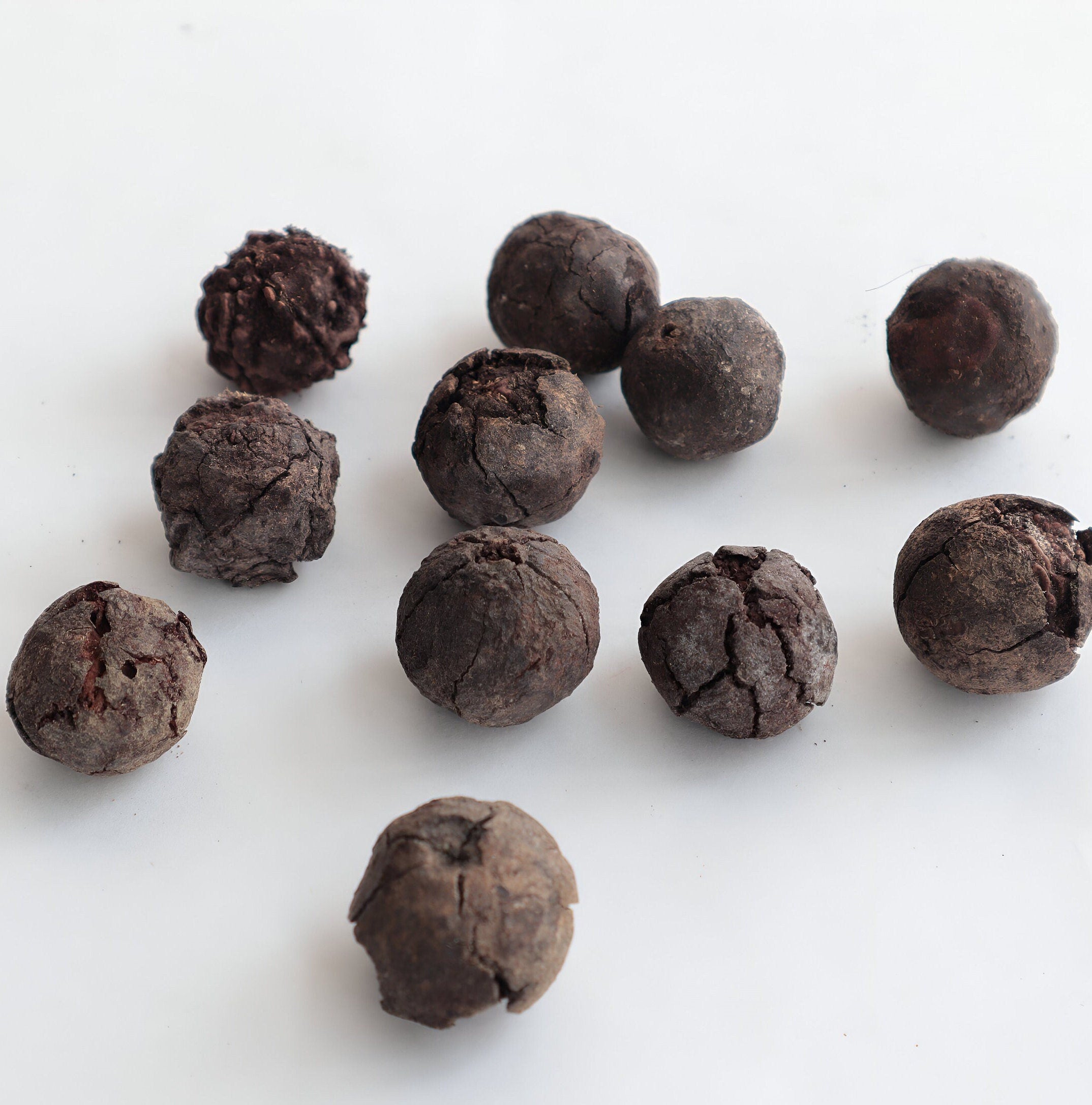 Bulk Natural Rudraksha Seeds With Shell: Nepalese Rudraksha Straight From The Tree, Price Per Pound