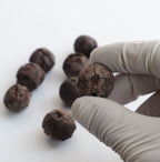 Bulk Natural Rudraksha Seeds With Shell: Nepalese Rudraksha Straight From The Tree, Price Per Pound