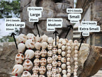 Howlite Ma Kali Skull Prayer Beads, Hand Knotted Maha Kalika Necklace From Nepal