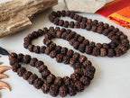 Tibetan Rudraksha Mala: 54/108 Japa Prayer Beads, Buddhist Meditation Gift