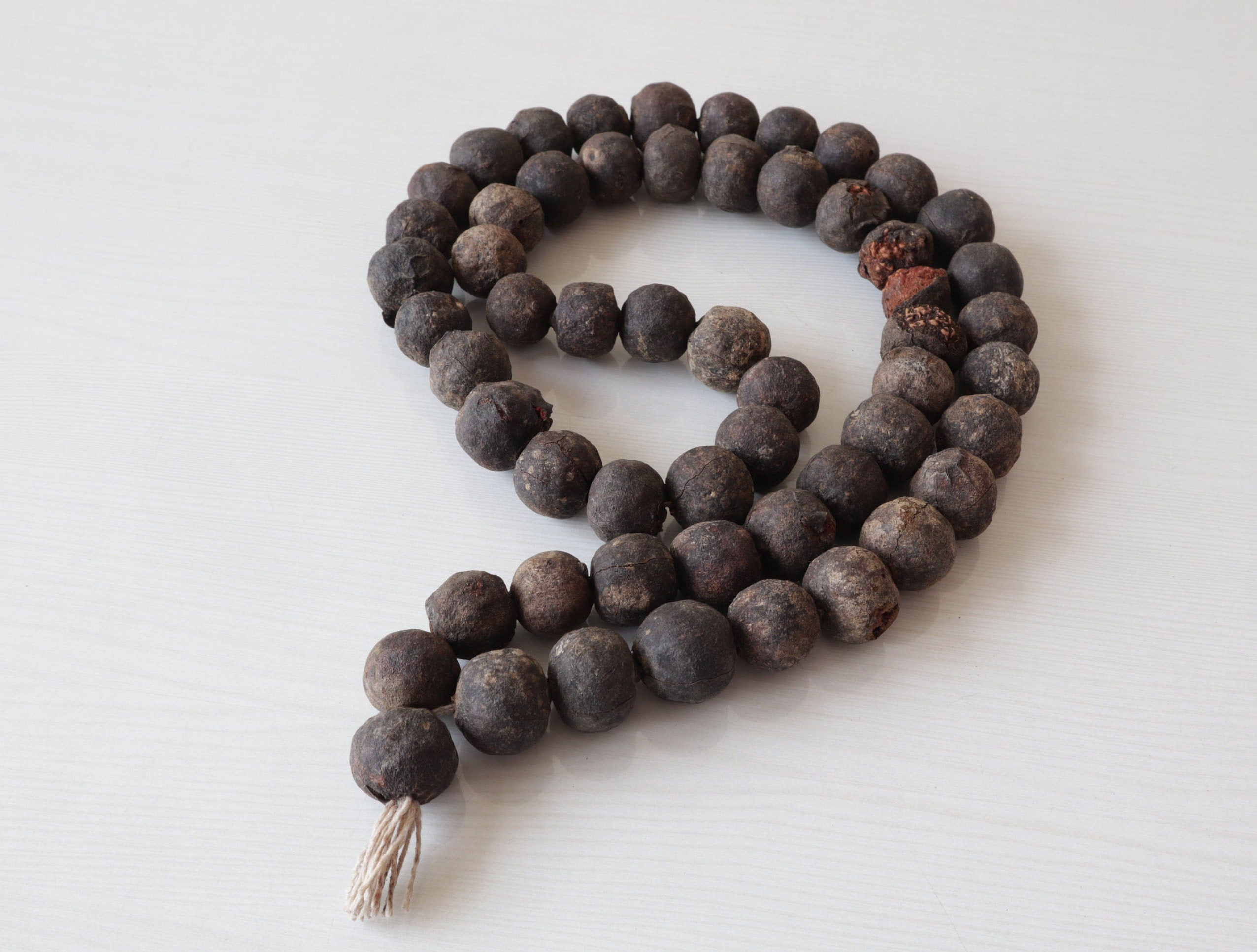 Natural Rudraksha Seeds with Shell: DIY Mala Beads for Meditation