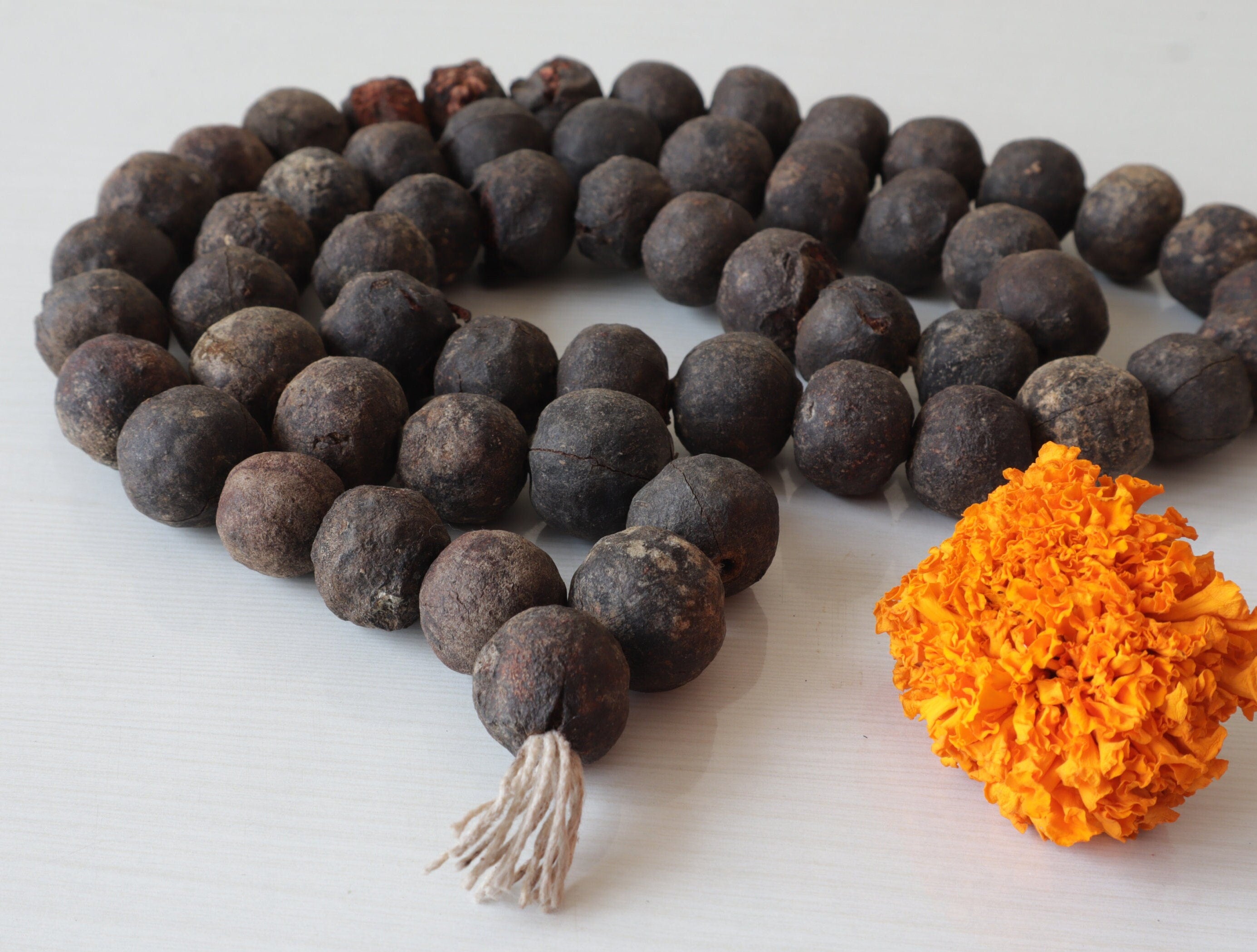 Natural Rudraksha Seeds with Shell: DIY Mala Beads for Meditation