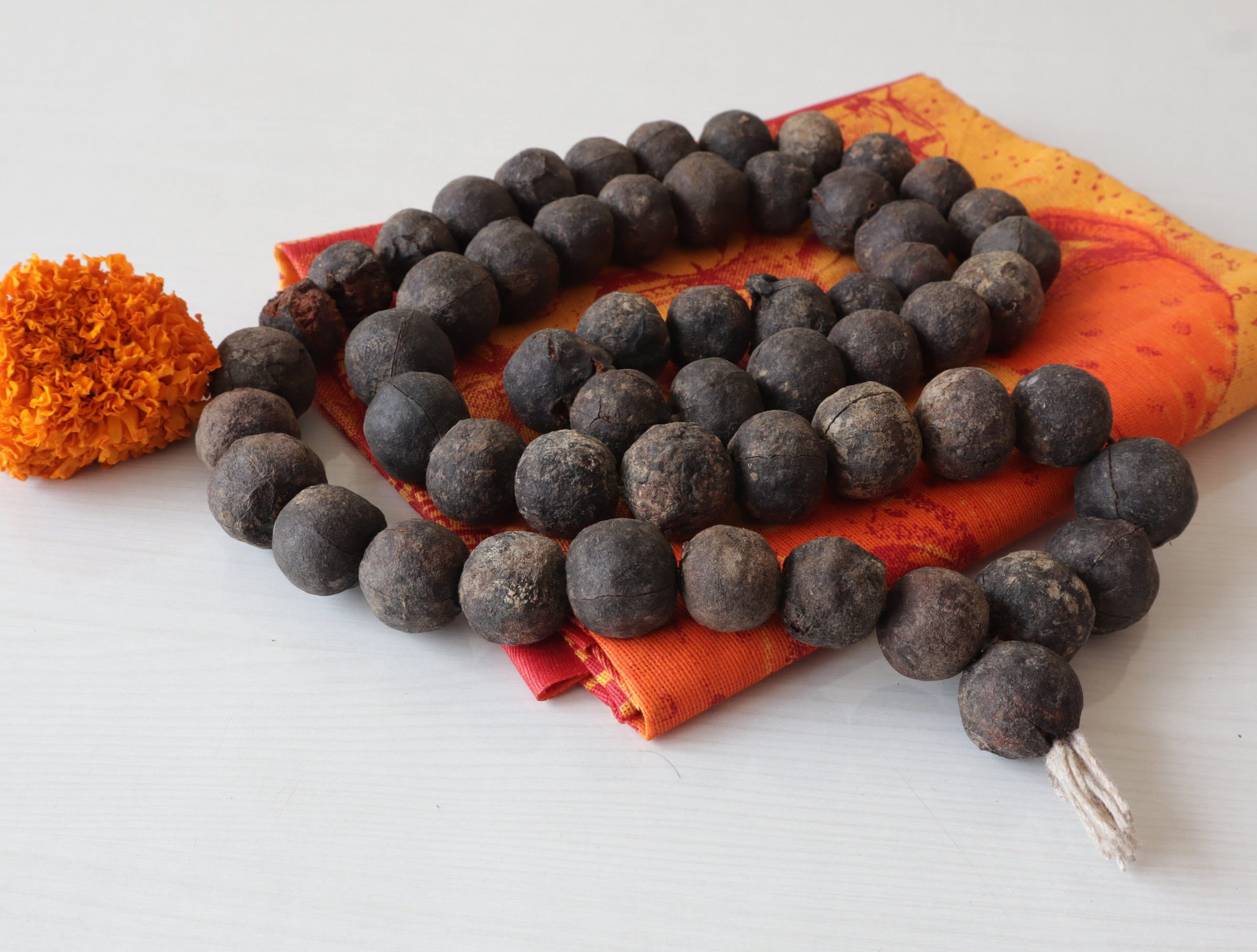 Natural Rudraksha Seeds with Shell: DIY Mala Beads for Meditation