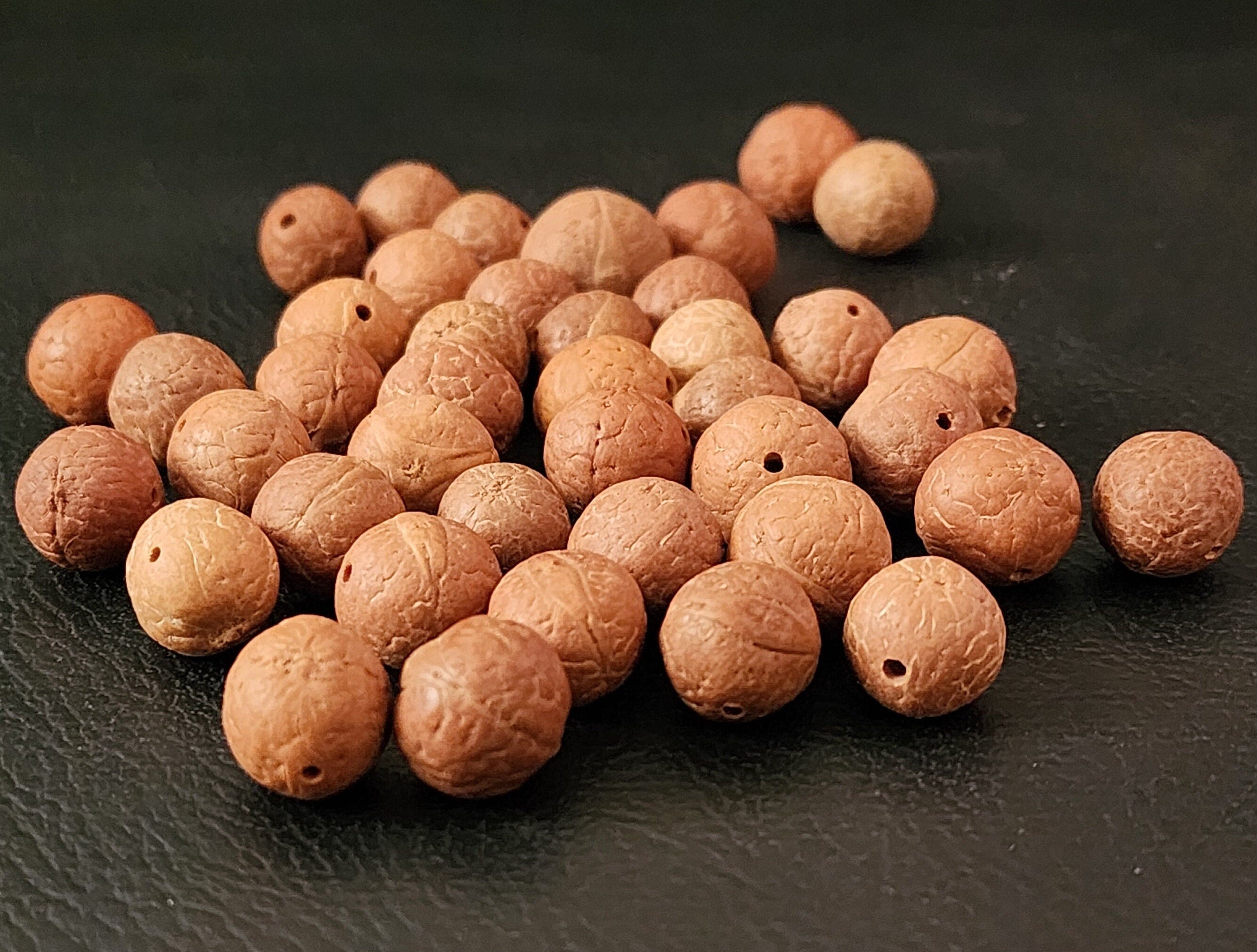 Phoenix Eye Bodhi Seed Beads: Natural Buddha Prayer Beads (13-15mm)