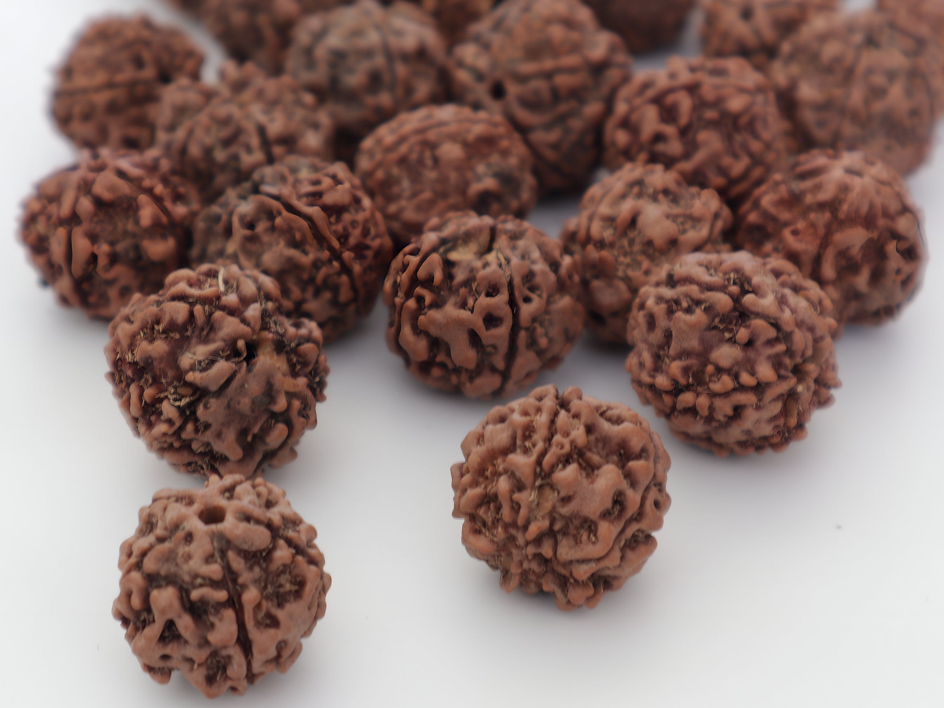 Natural Rudraksha Seed Beads: 16mm Prayer Beads, Hand Picked in Nepal