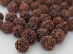 Natural Rudraksha Seed Beads: DIY Loose Prayer Beads, Hand Picked in Nepal