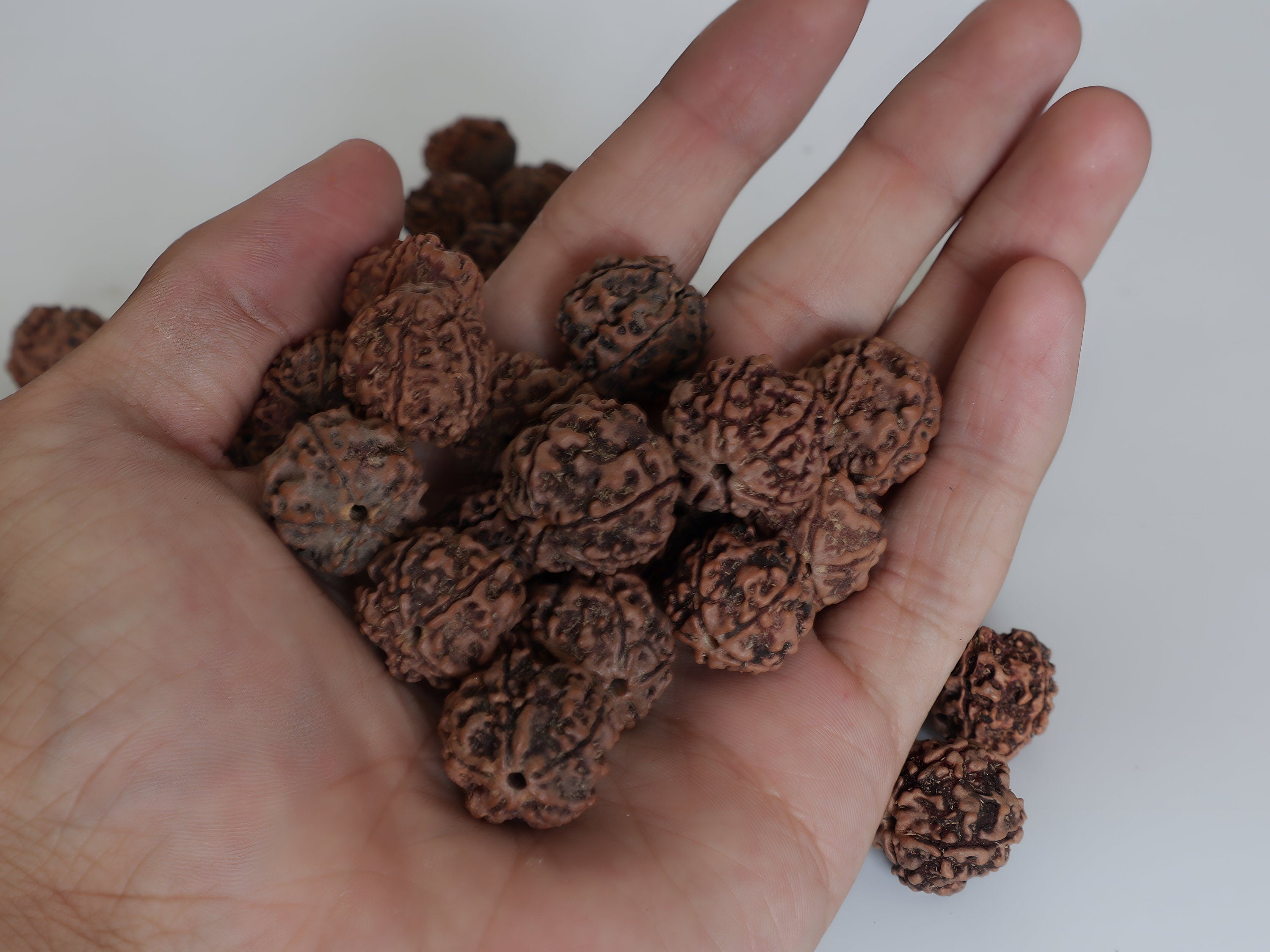 Natural Rudraksha Seed Beads: 16mm Prayer Beads, Hand Picked in Nepal