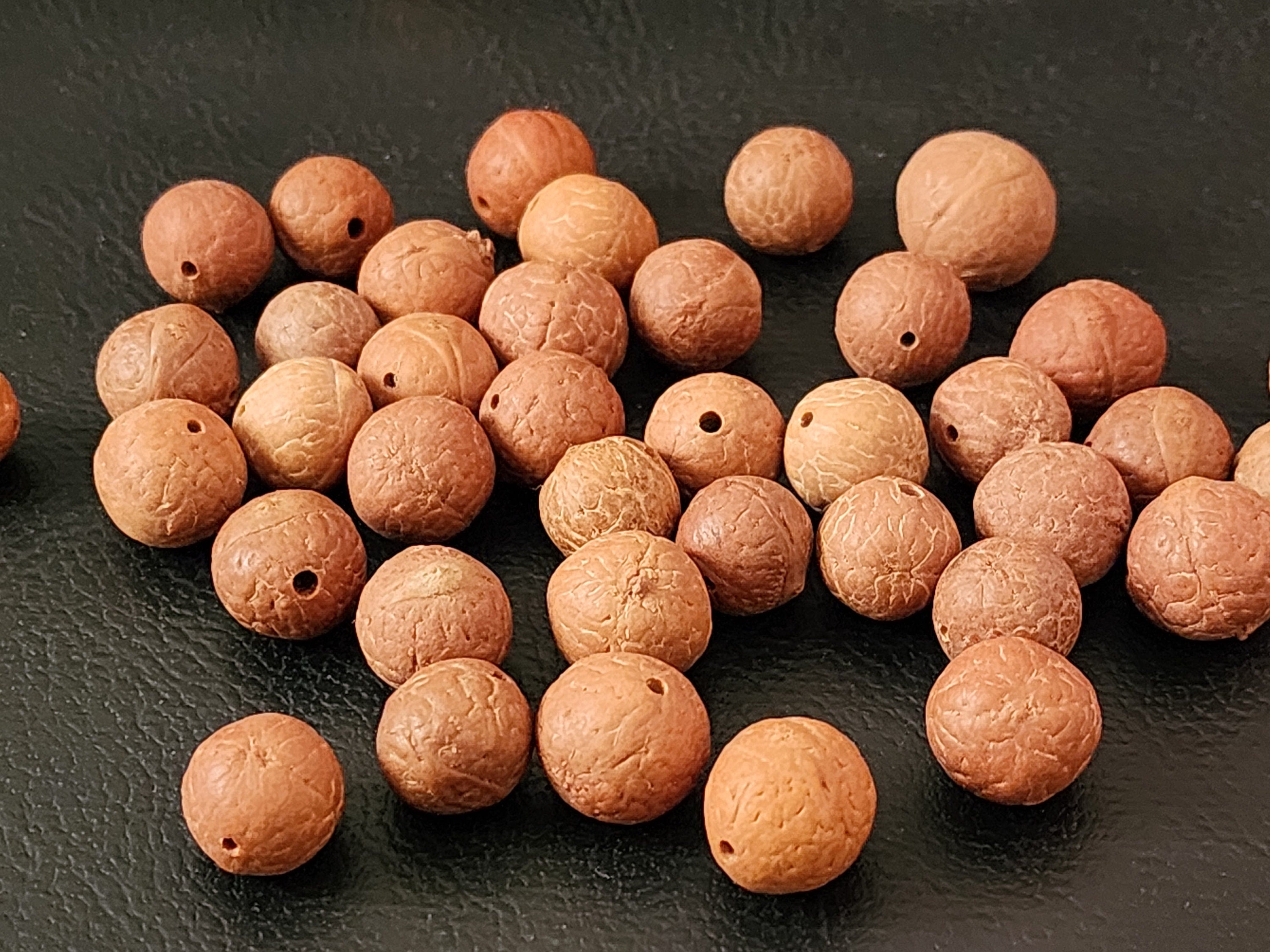 Phoenix Eye Bodhi Seed Beads: Natural Buddha Prayer Beads (13-15mm)