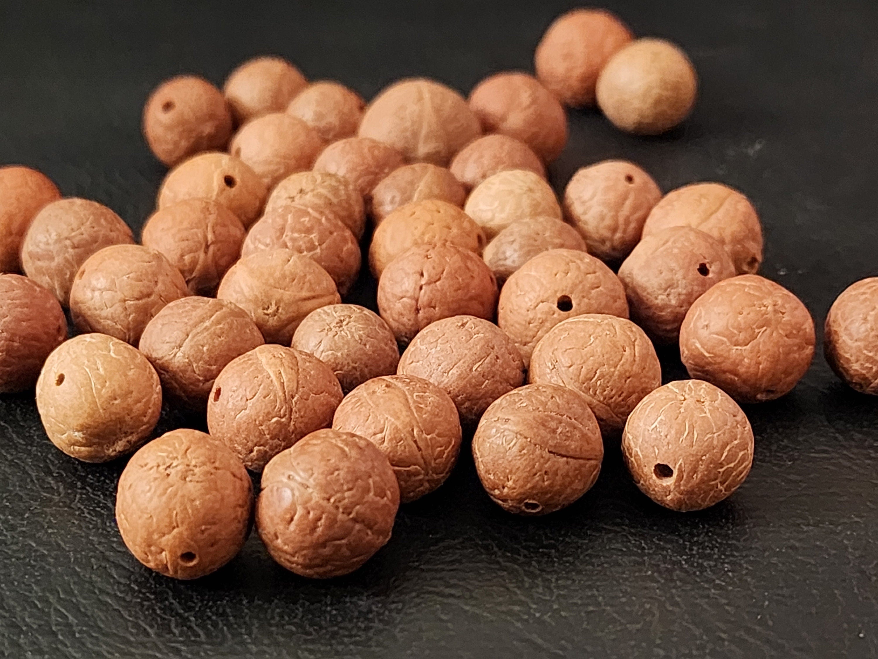 Phoenix Eye Bodhi Seed Beads: Natural Buddha Prayer Beads (13-15mm)