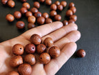 Aged Bodhi Seed Beads: Tibetan Buddhist Mala Making Supplies