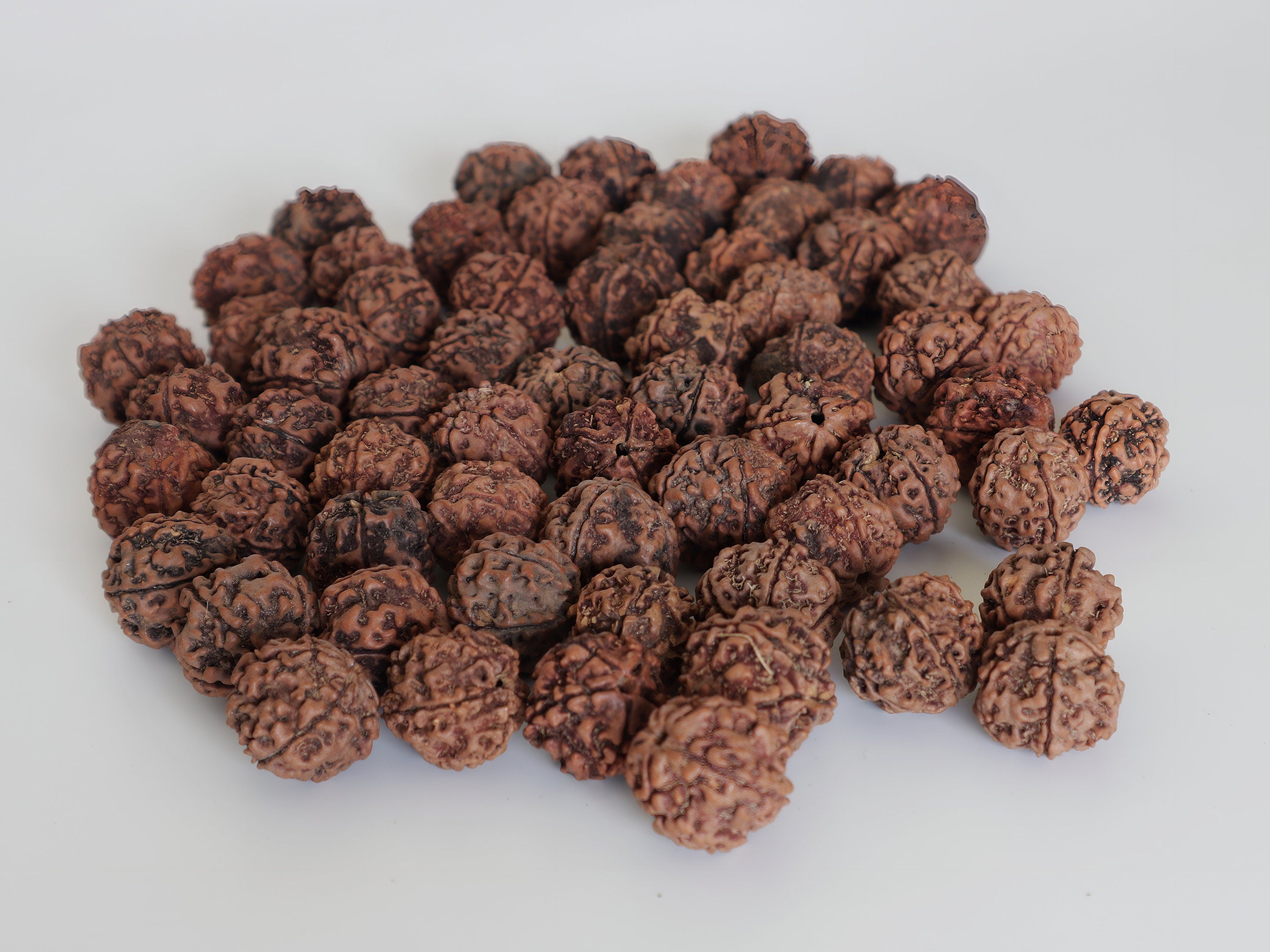Natural Rudraksha Seed Beads: DIY Loose Prayer Beads, Hand Picked in Nepal