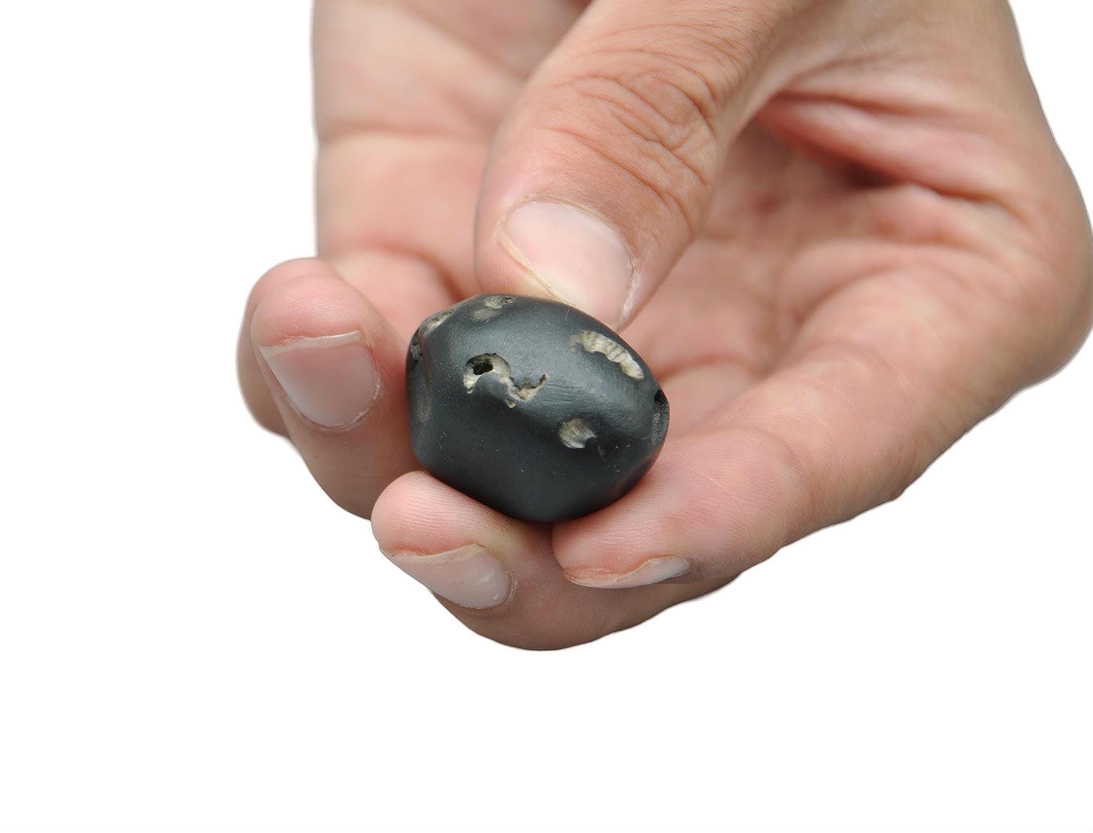 Rare 3-Chakra Varaha Shaligram Stone: Fortune & Luck