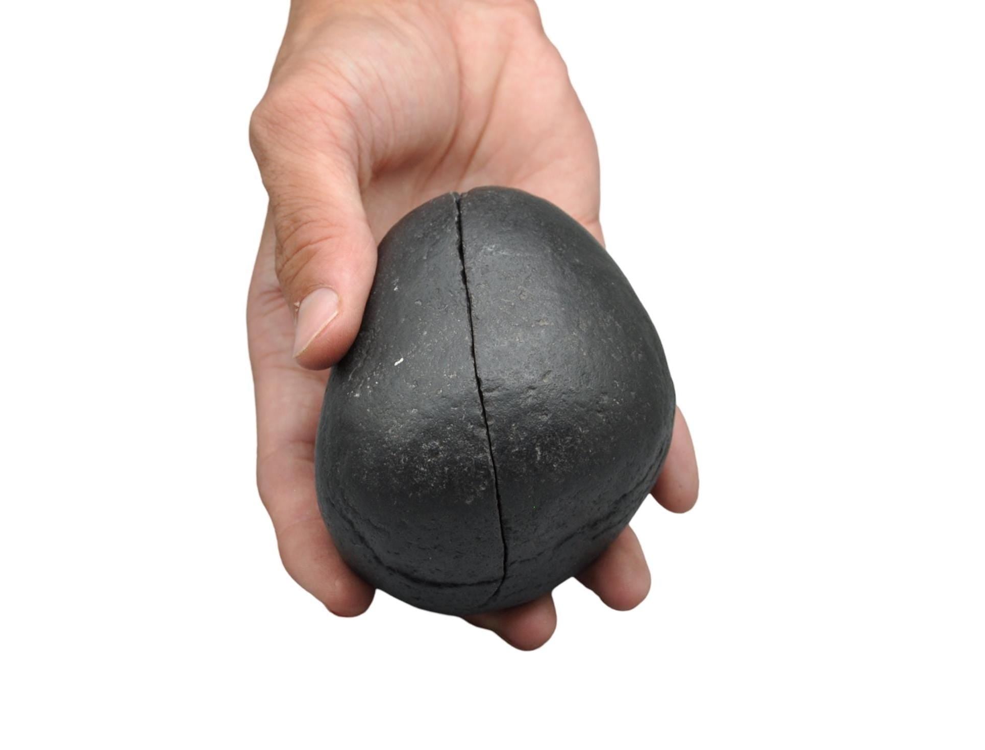 Natural Shiva Linga Shaligram: Om Ammonite Fossil From Nepal