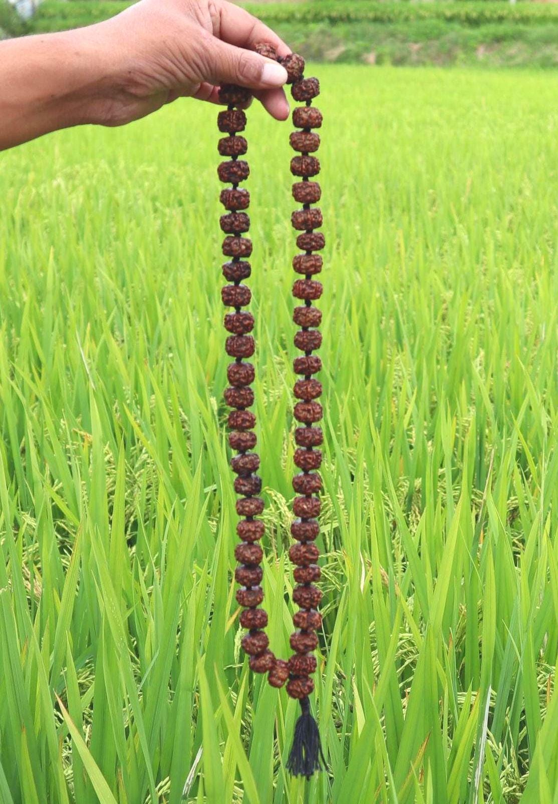 Tibetan Rudraksha Mala: Prayer Beads with Tassel