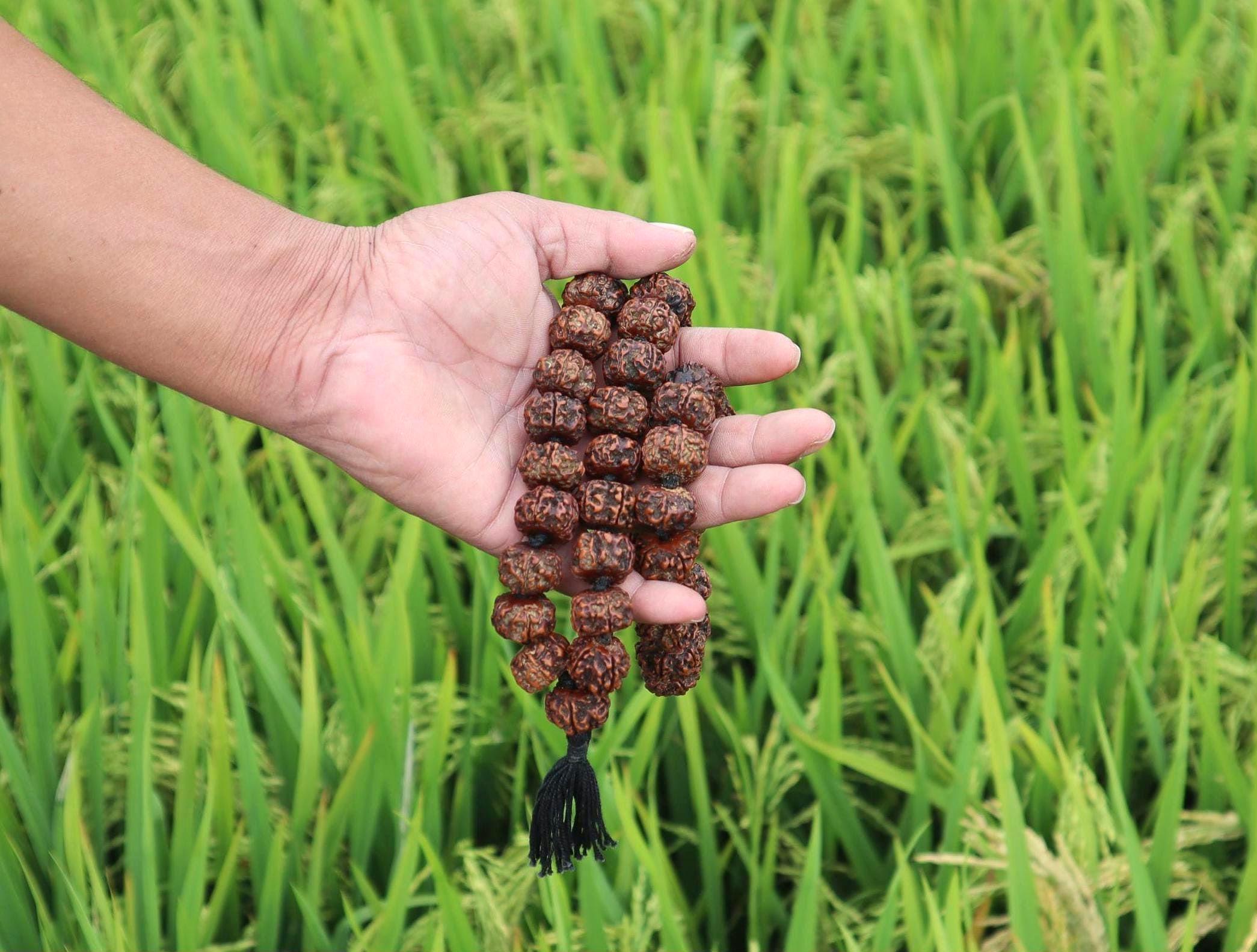Tibetan Rudraksha Mala: Prayer Beads with Tassel