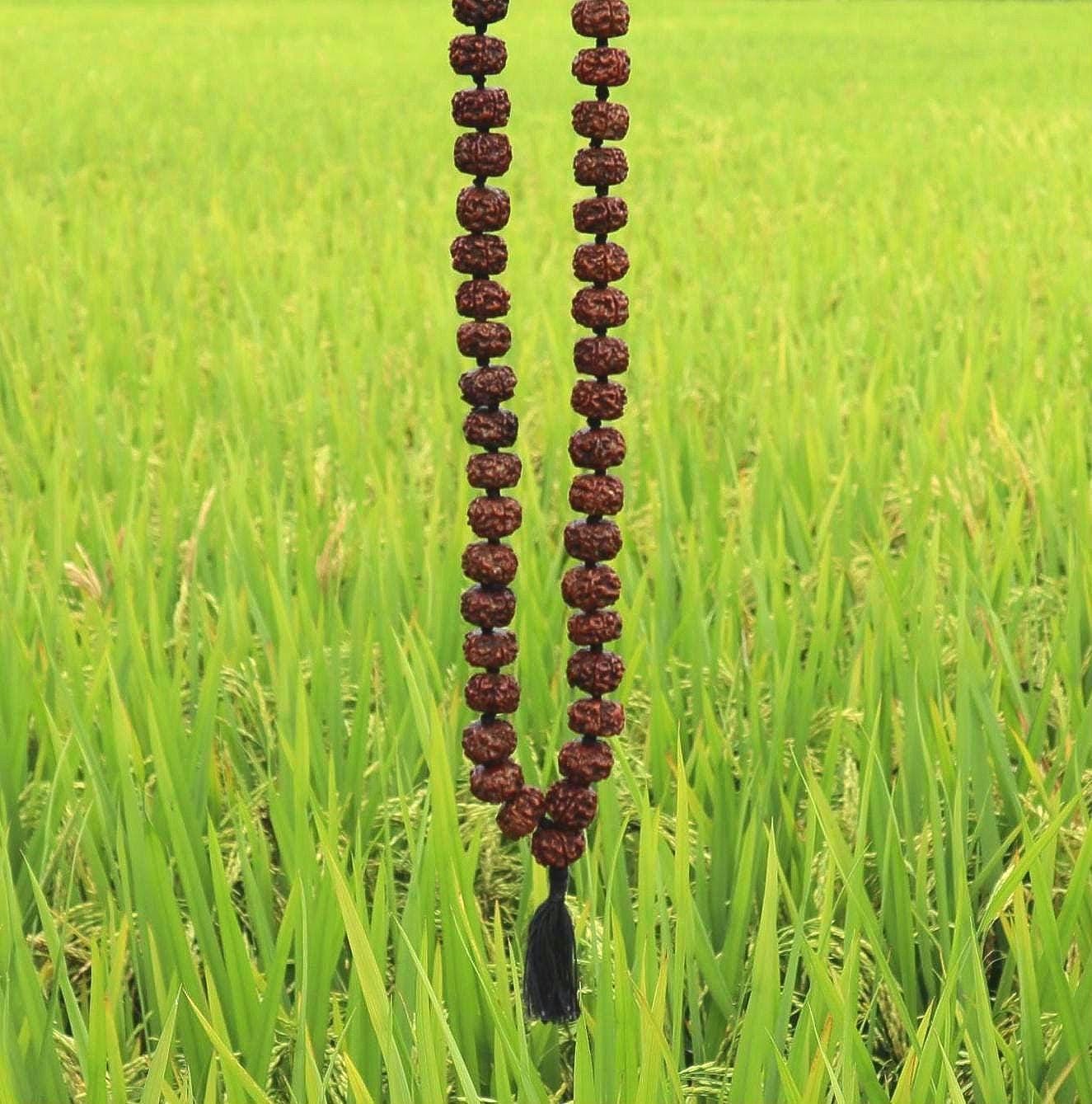 Tibetan Rudraksha Mala: Prayer Beads with Tassel