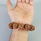 Rudraksha Extra Large 25mm 5 Mukhi Bracelet From Nepal, Premium Natural Nepalese Rudraksha Seeds