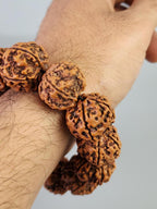 Rudraksha Extra Large 25mm 5 Mukhi Bracelet From Nepal, Premium Natural Nepalese Rudraksha Seeds