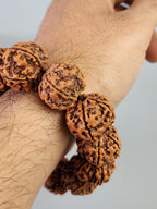 5 Mukhi Rudraksha Bracelet, Nepal Seeds, Meditation