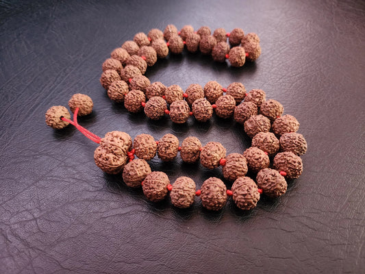 Authentic Rudraksha bead mala necklace with red string on a dark leather background
