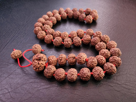 Authentic Rudraksha bead mala with red string on a dark textured background