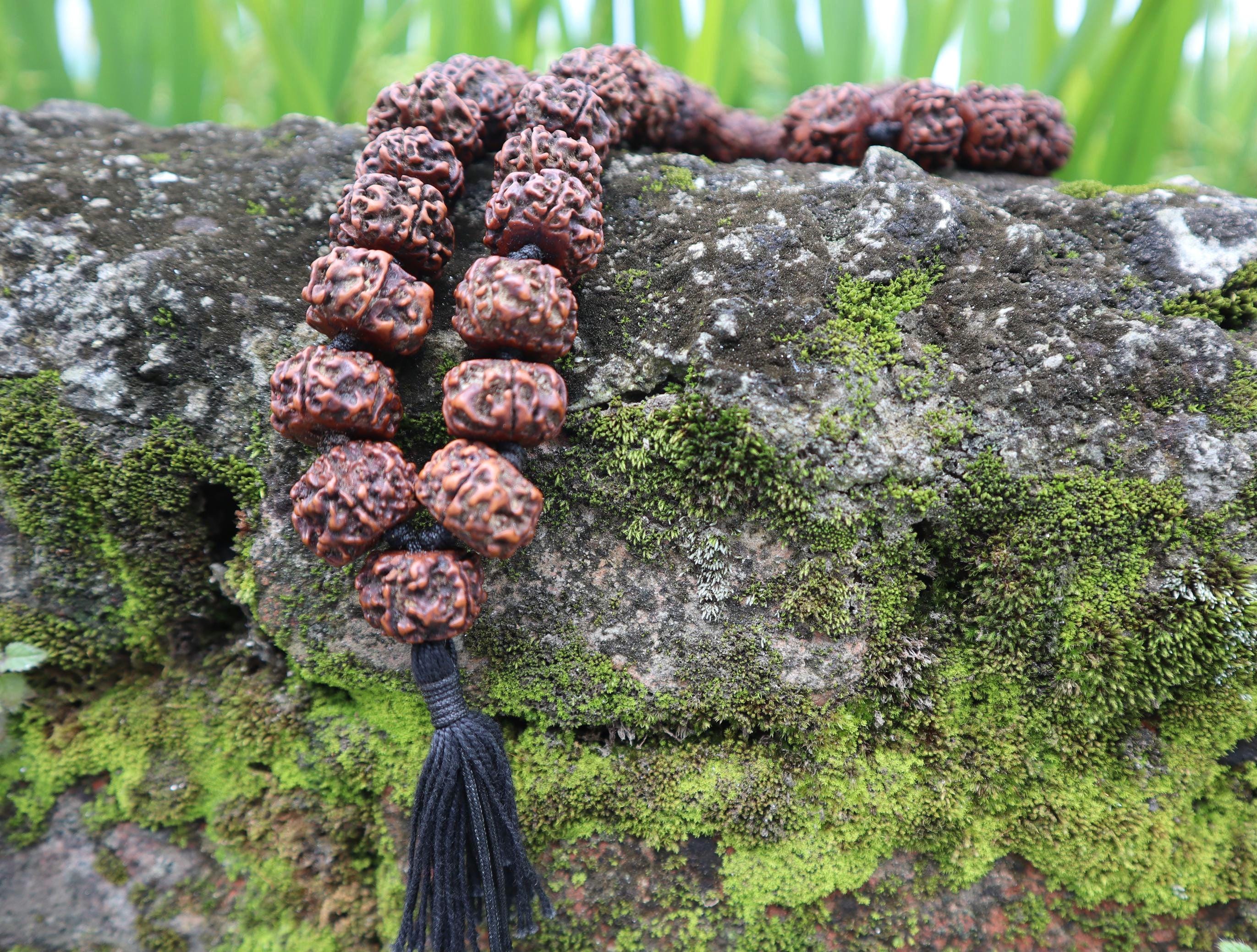 Tibetan Rudraksha Mala: Prayer Beads with Tassel